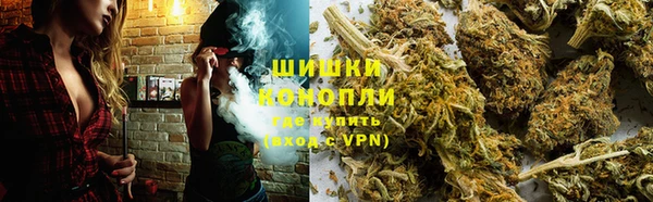 стафф Магадан