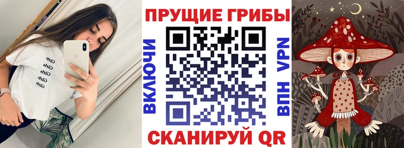 Купить закладки  Покачи  Псилоцибиновые грибы MAGIC MUSHROOMS 