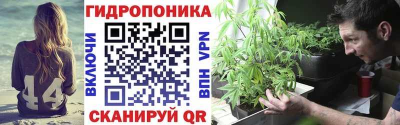 Каннабис семена Покачи